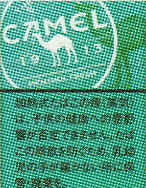 camel1249