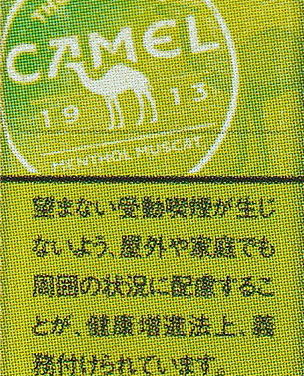 camel1189